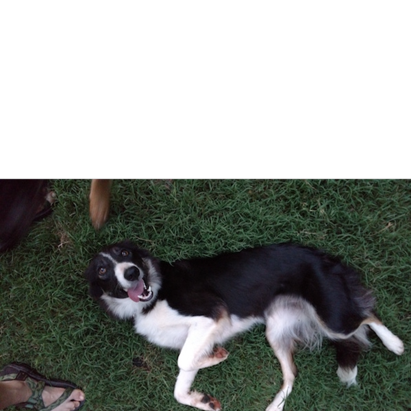 Ailsa photo 2