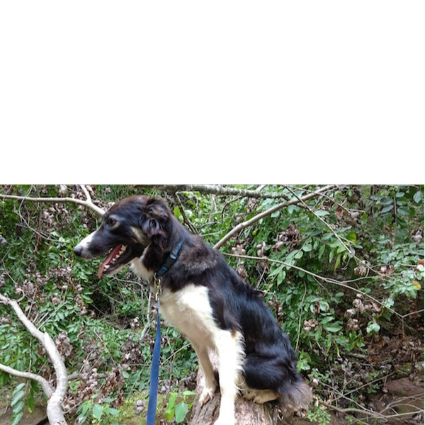 Ailsa photo 3