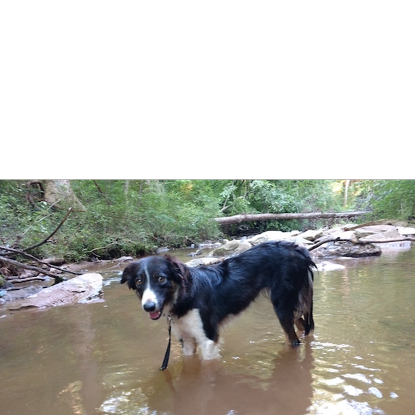 Ailsa photo 4