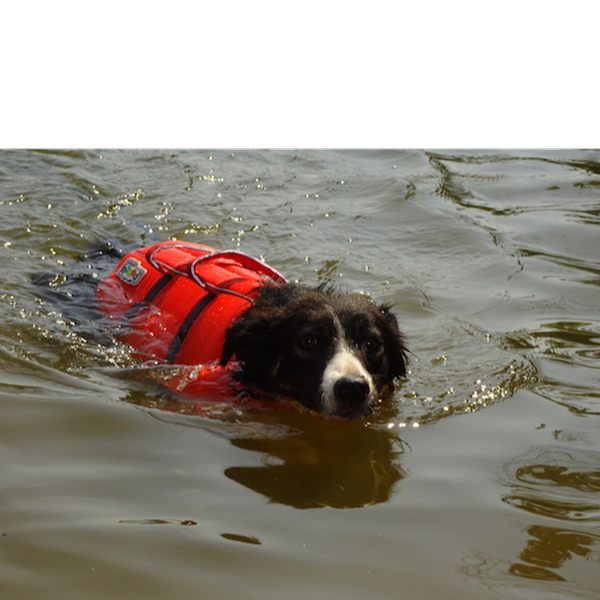 Ailsa swimming