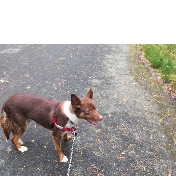 Bea photo 5