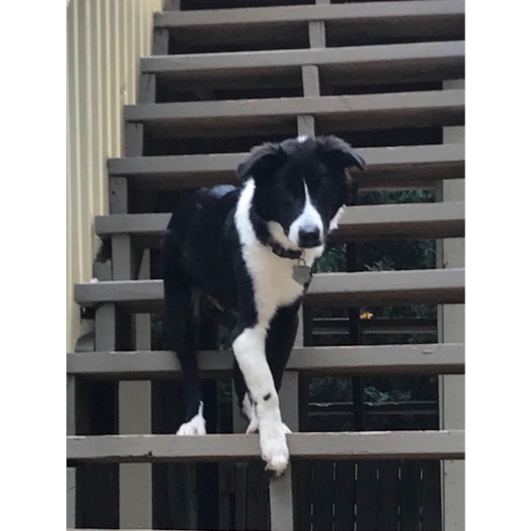 Benny p5