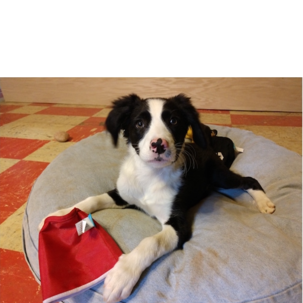 Bess photo 2