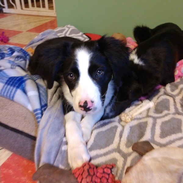 Bess photo 3