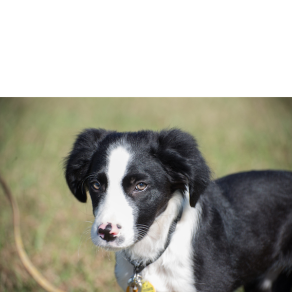 Bess photo 8