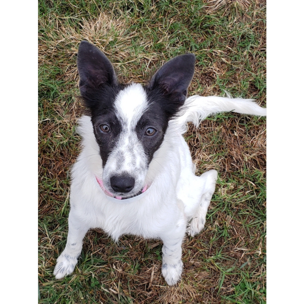 Bonnie photo 2