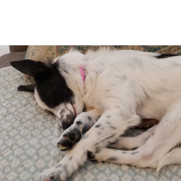 Bonnie photo 5