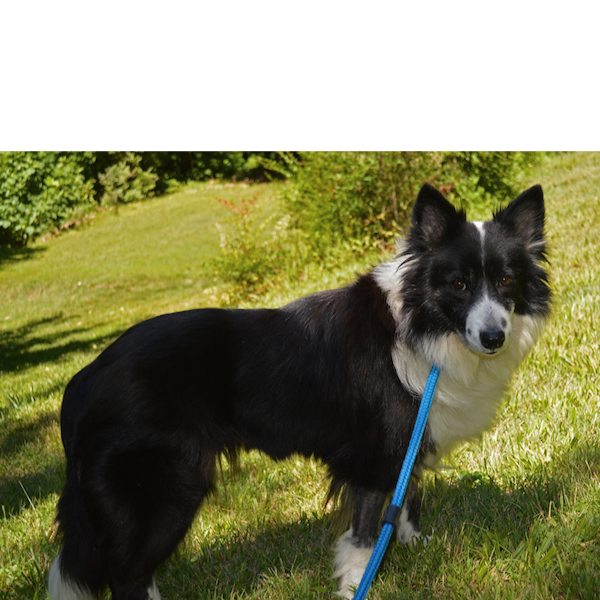 Breeze photo 2