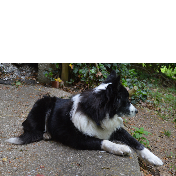Breeze photo 3