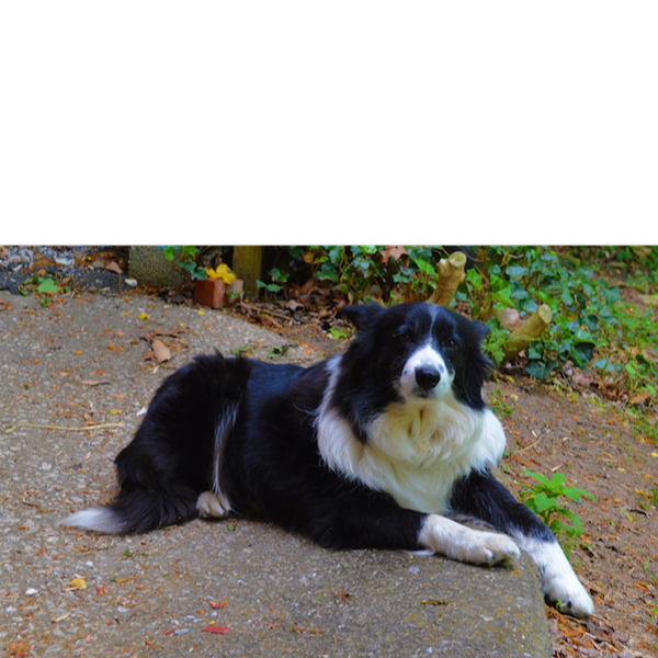 Breeze photo 4