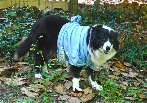 Breeze photo 6