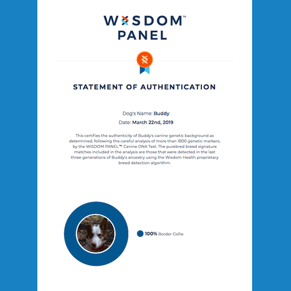 Buddy Wisdom Panel Certificate