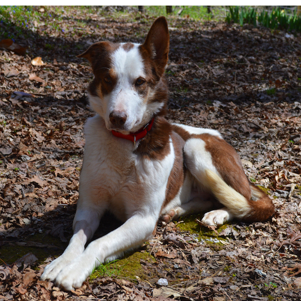 Buddy photo 2