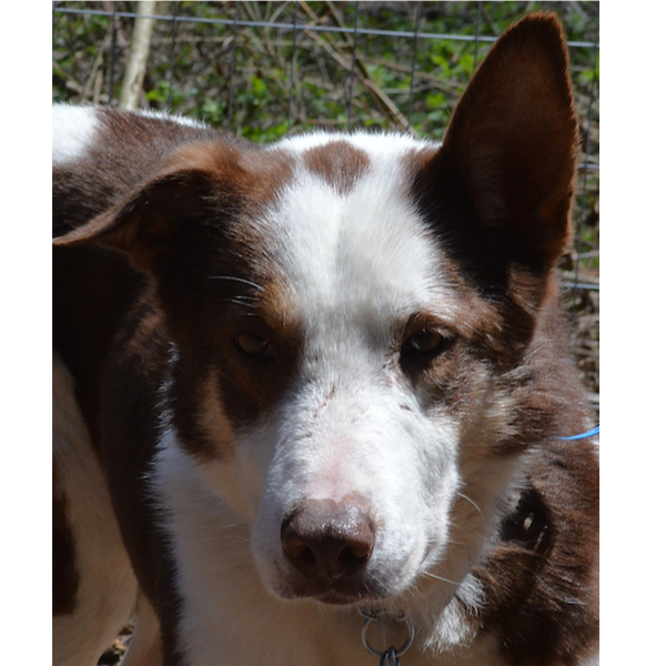 Buddy photo 6