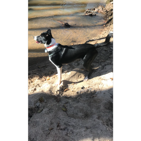 Carley photo 2