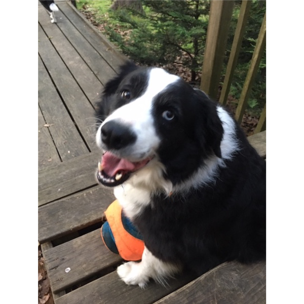 Clementine photo 3