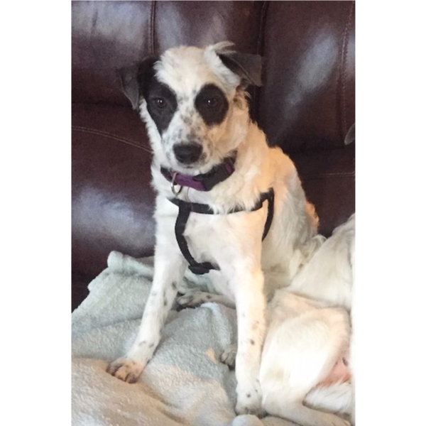 Darcy photo 7