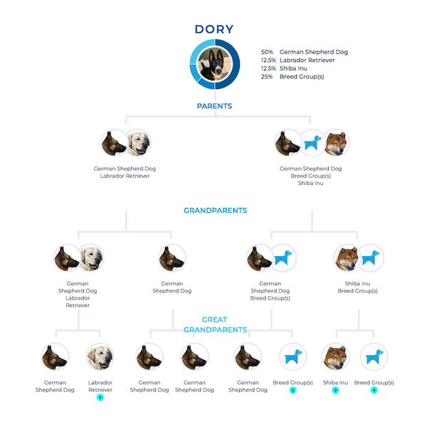 Dory Family Tree