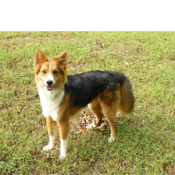 Farley photo 3