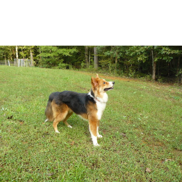 Farley photo 4