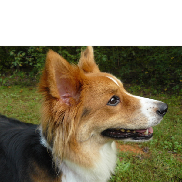 Farley photo 5