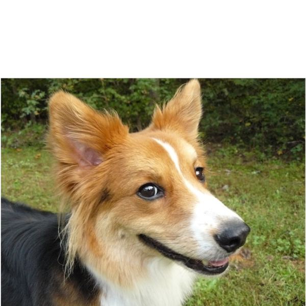 Farley photo 6