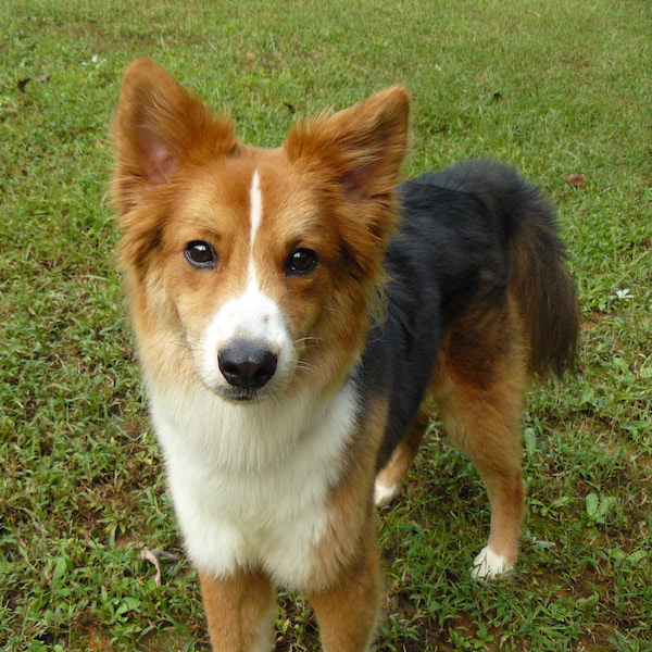 Farley photo 7