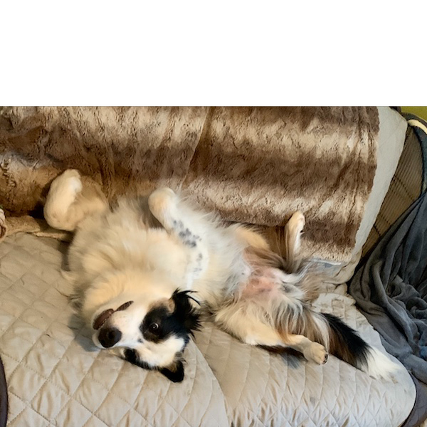 Finn photo 3
