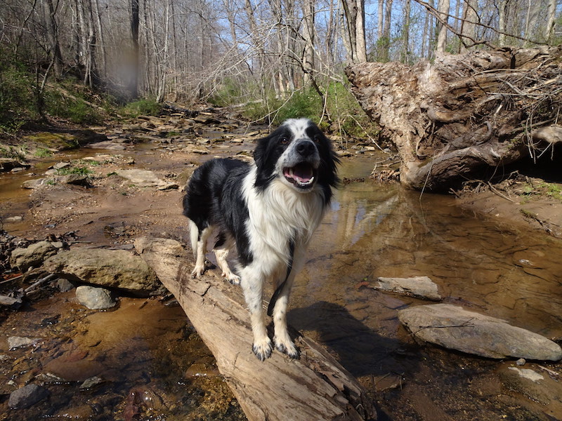 Fisher photo 4