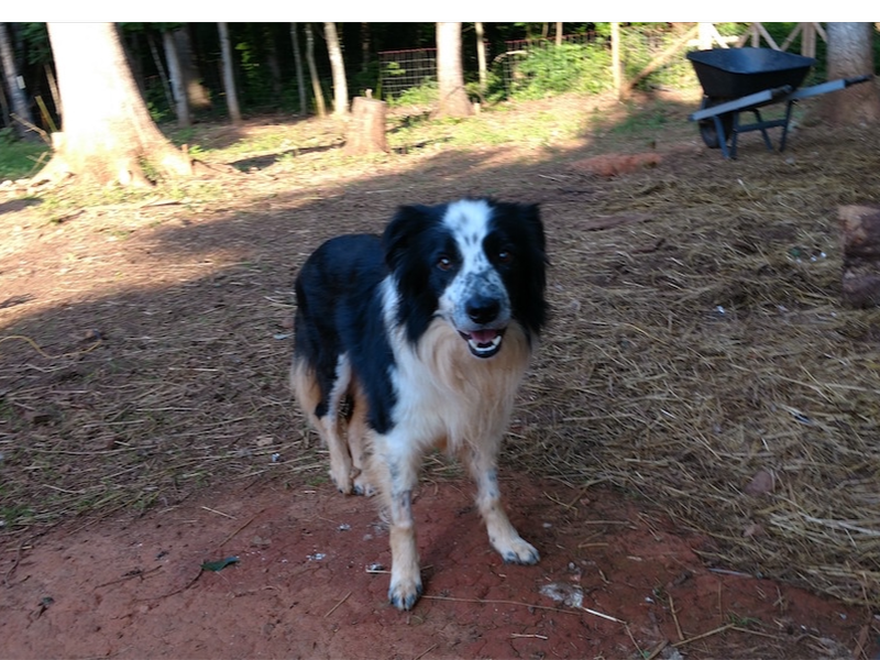 Fisher photo 8