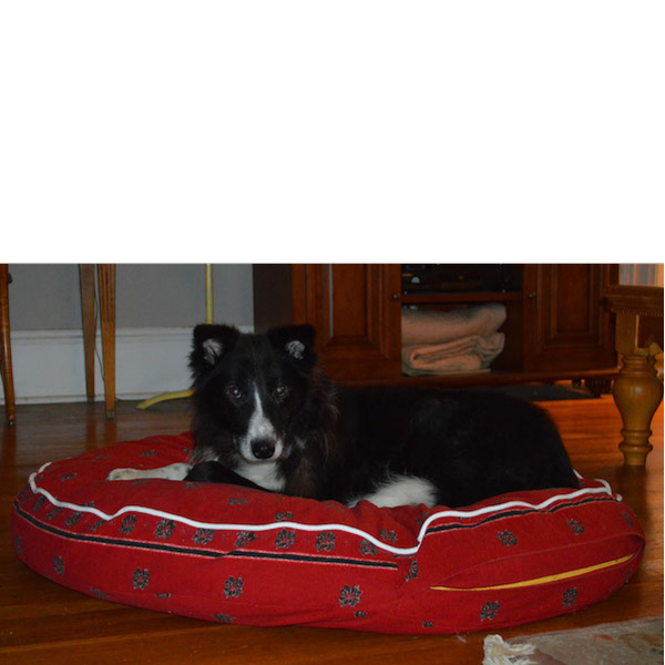 Jesse photo 2