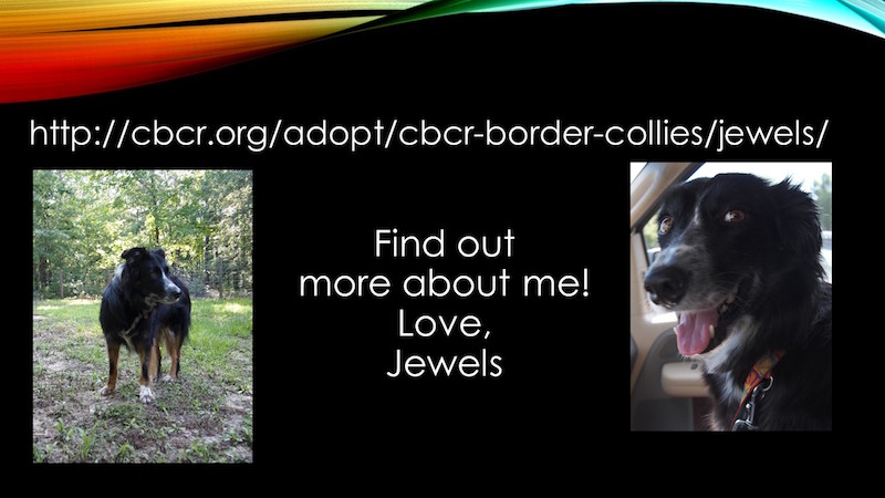 Jewels slide 12