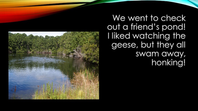 Jewels slide 6