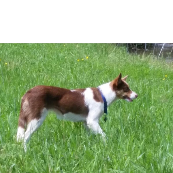 Katie photo 4