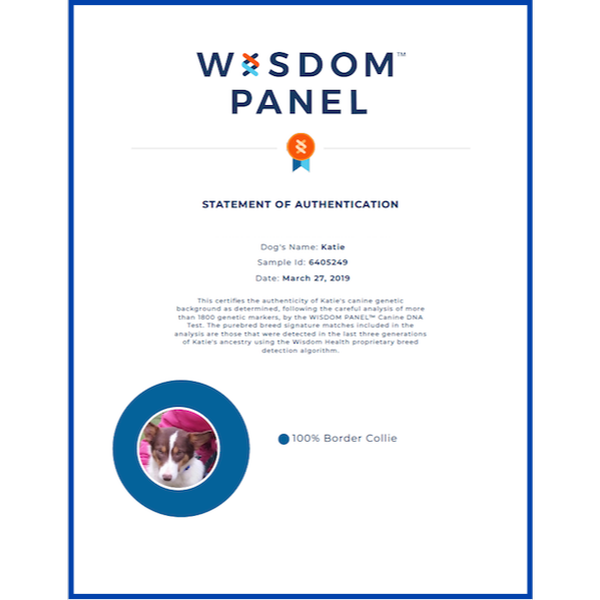 Katie Wisdom Panel Certificate