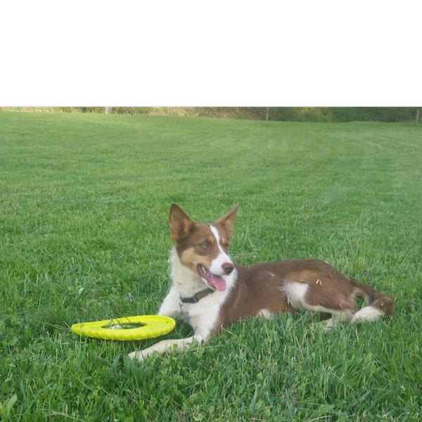 Katie photo 2