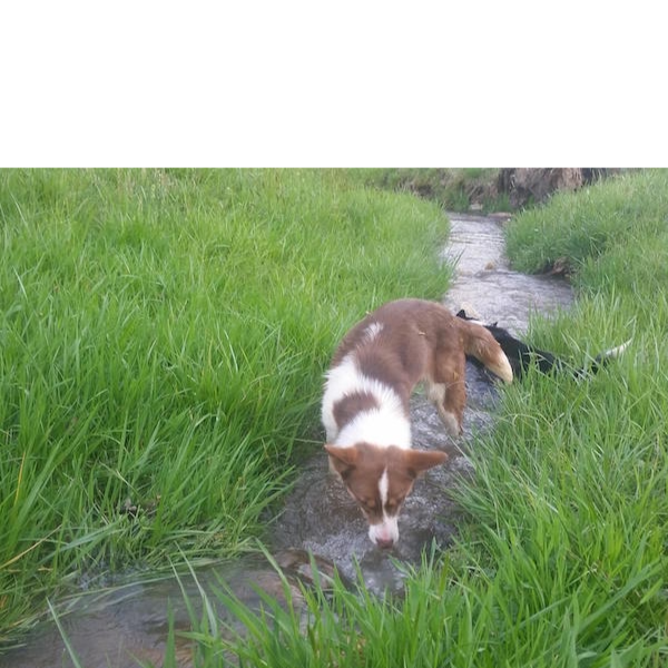 Katie photo 3