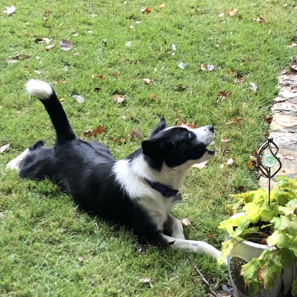 Kira photo 2