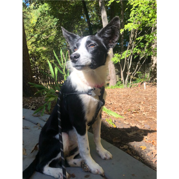 Kira photo 4