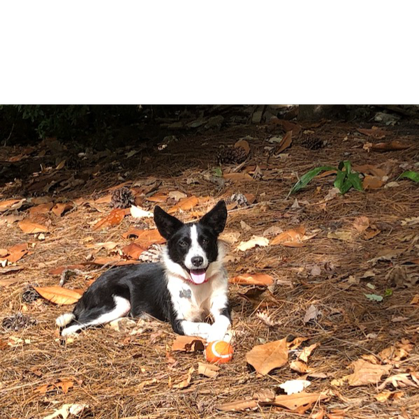 Kira photo 6