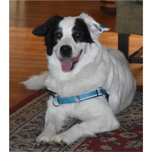 Leila photo 5