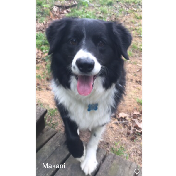 Makani photo 2