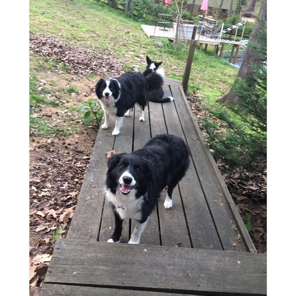 Makani and Clementine