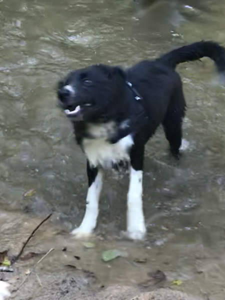 Mako photo 3