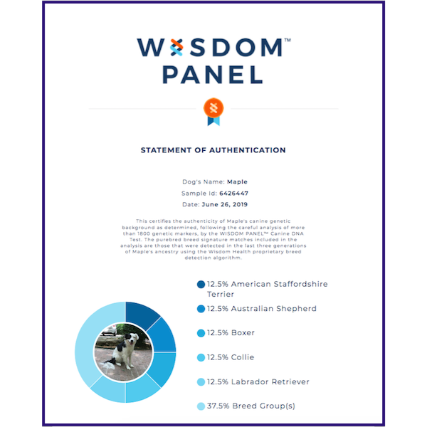 Maple Wisdom Panel Certificate