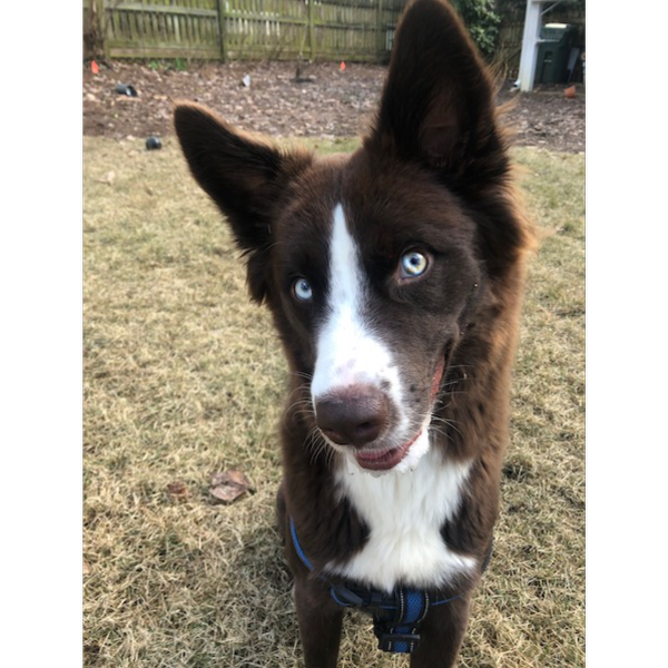 Max photo 4