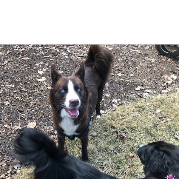 Max photo 5