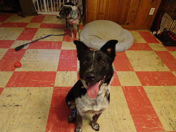 Maya photo 2
