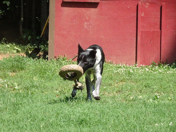 Maya photo 3