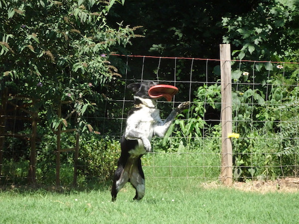 Maya photo 4